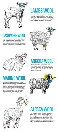 Ulltyper jämförda: Lambs wool, Merino, Cashmere, Angora och Alpaca